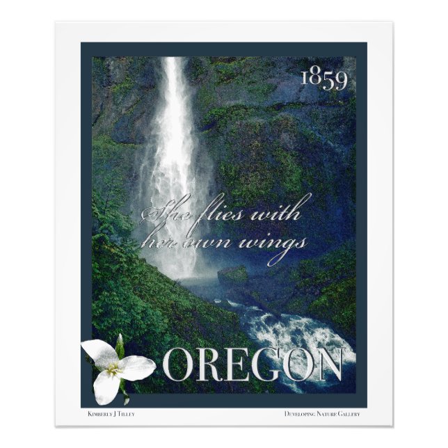 Oregon Waterfall Poster (Framsidan)