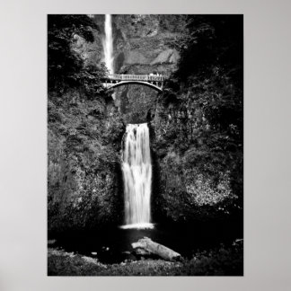 Oregon Waterfalls (svart och vitt) Poster