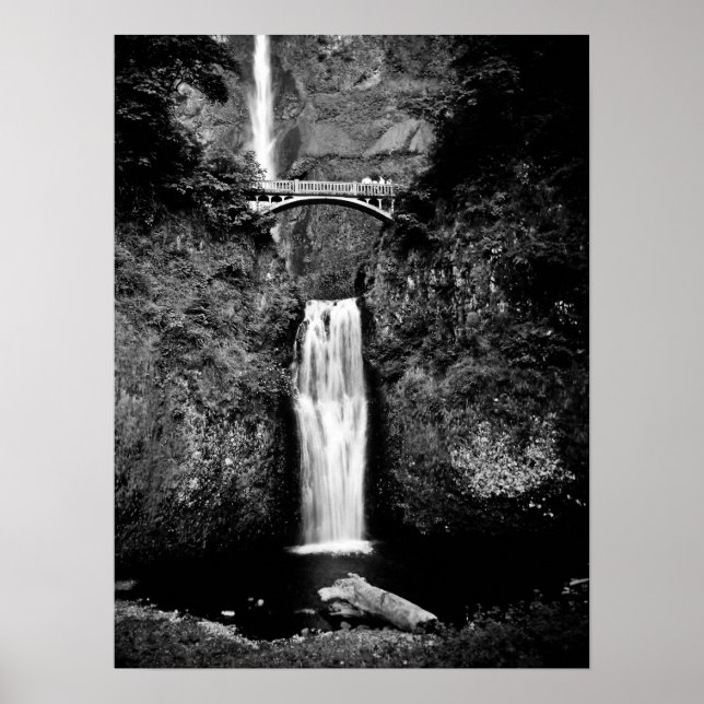 Oregon Waterfalls (svart och vitt) Poster (Framsidan)
