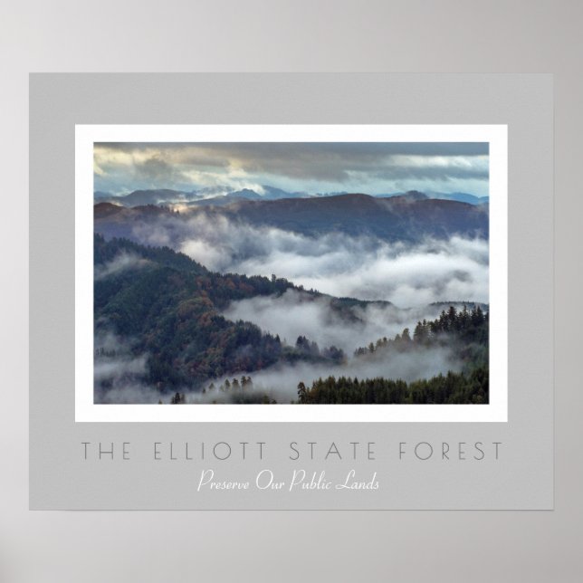 Oregons Elliott State Forest- Protect Public Land Poster (Framsidan)