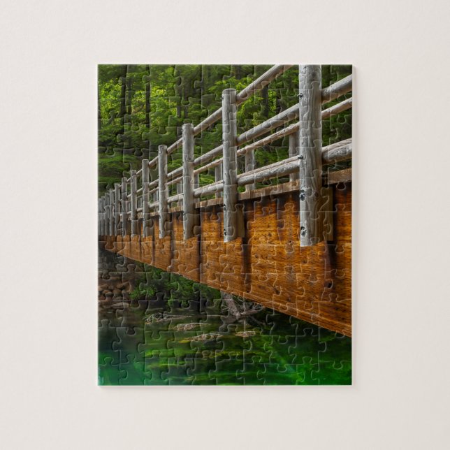 Oregons huvudvatten i floden McKenzie Pussel (Vertikal)