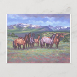 Oregons Vild Horses Vykort