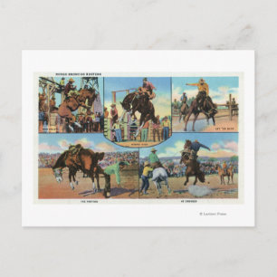 OregonScenia Views of Rodeo Bronco Busters Vykort