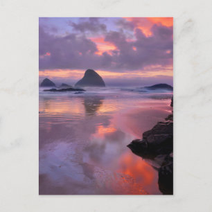 Oregonstrand och havsbottnar, solnedgång vykort