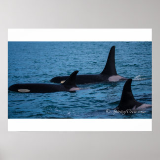 Oreo, Cookie och DoubleStuf Poster