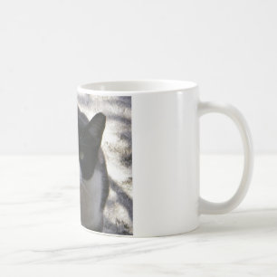 Oreo katt kaffemugg
