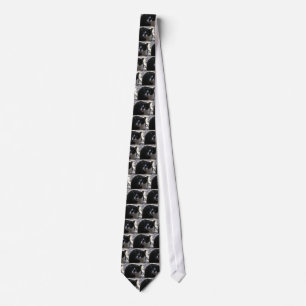 Oreo katt slips