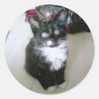 ’OREO’ RUNT KLISTERMÄRKE