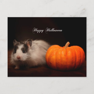 Oreos Halloween Vykort