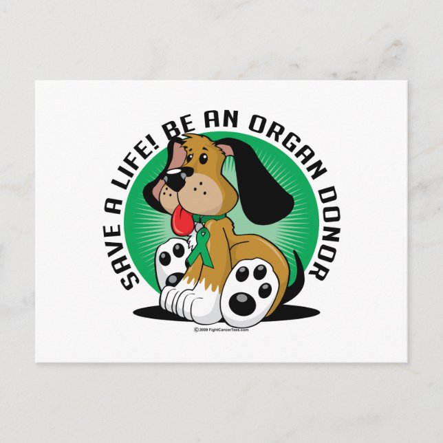 Organ Donor Hund Vykort (Framsida)