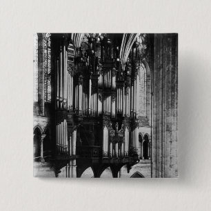 Organ Knapp