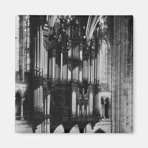 Organ Magnet