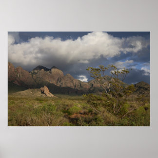 Organ Mountains After Storm Poster