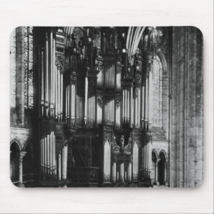 Organ Musmatta