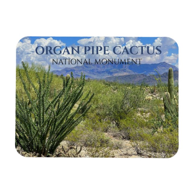 Organ Pipe Cactus, Ocotillo Shrub, Ajo Mountains Magnet (Horisontell)