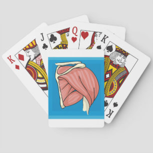 Organbildning Casinokort