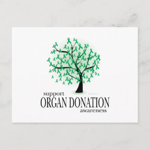 Organdonation Träd Vykort