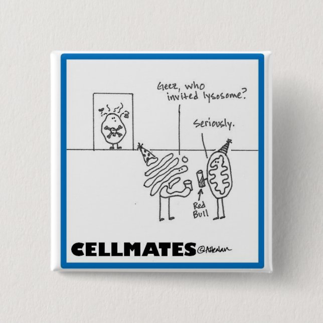 Organelleparty Knapp (Framsida)