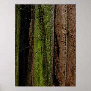 Organic Poster