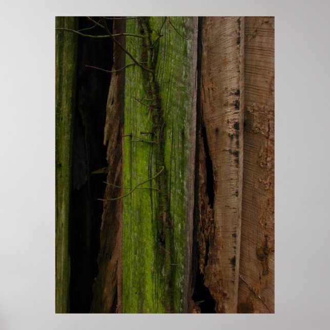 Organic Poster (Framsidan)