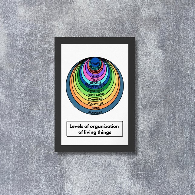 Organisationsnivå för levande sak poster (Skapare uppladdad)