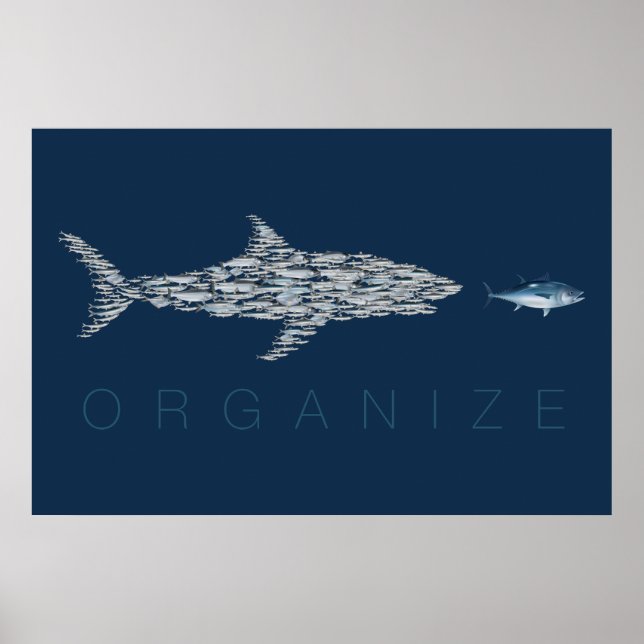 Organisera fisk poster (Framsidan)