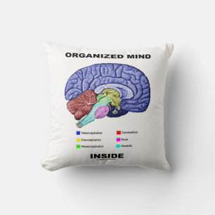 Organiserat sinne (Anatomical Brain Attitude) Kudde