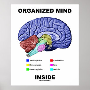 Organiserat sinne (Anatomical Brain Attitude) Poster