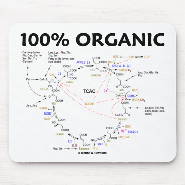Organisk 100% (citronsyra cyklar - Krebs cyklar), Musmatta (Framsidan)