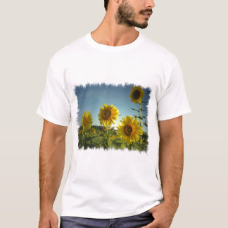 Organisk trädgårds- solros tee shirt
