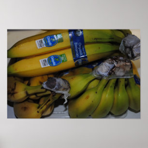 Organiska bananer poster