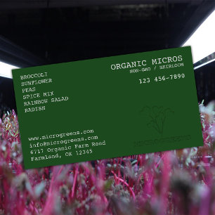 Organiska mikrogreener visitkort