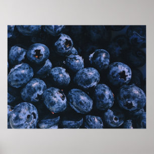 Organiska mogna basket av blåbär poster