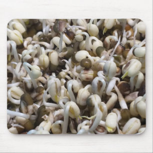Organiska Mung Sprouts - A Nutrient Packed Superfo Musmatta