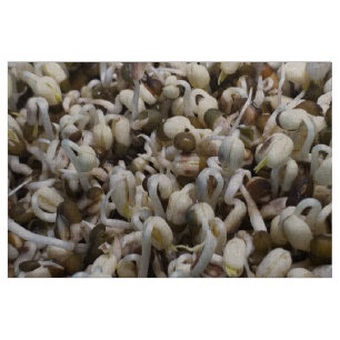 Organiska Mung Sprouts - A Nutrient Packed Superfo Tyg
