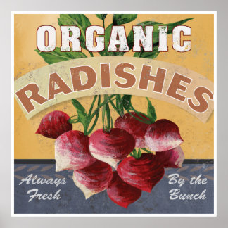 Organiska radisor Poster