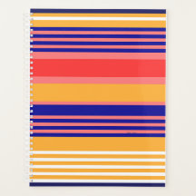 ORGANIZER GULT BLUE STRIPED Planner