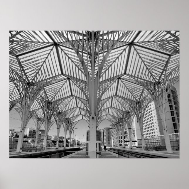 Orient Tåg Station Poster (Framsidan)