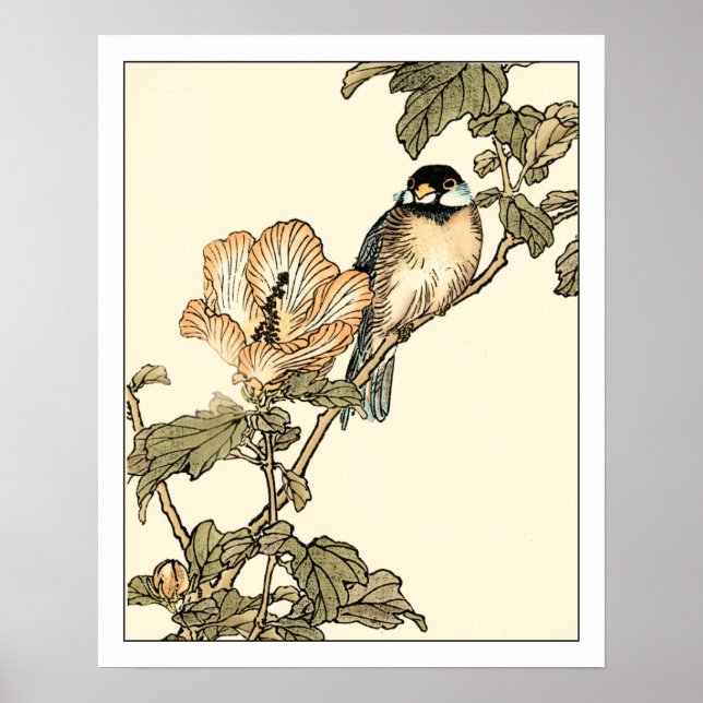 Oriental Bird Perched på Gren Poster (Framsidan)