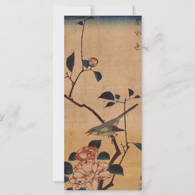 Oriental Camellia and Warbler (Framsida)