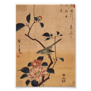 Oriental Camellia and Warbler Fototryck