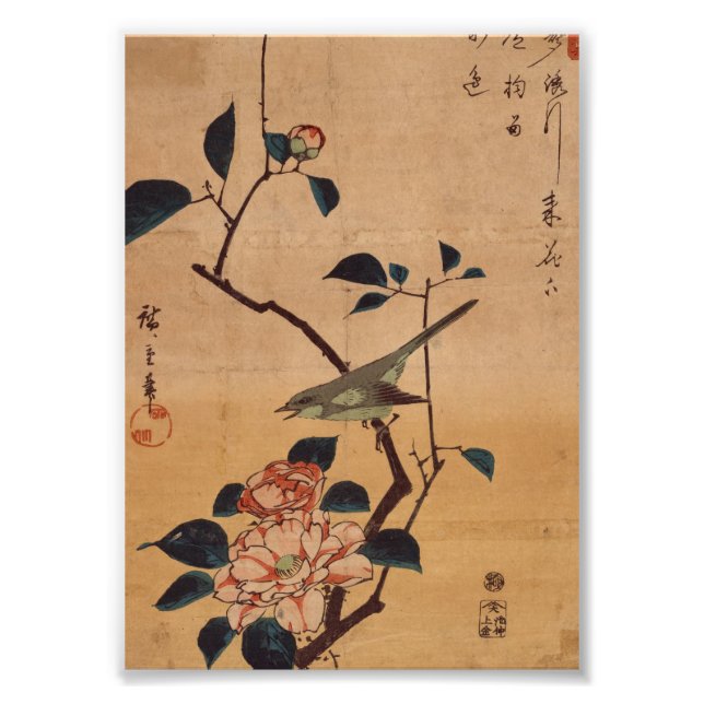 Oriental Camellia and Warbler Fototryck (Framsidan)