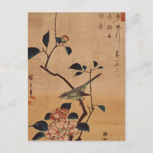 Oriental Camellia and Warbler Vykort