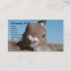 Oriental Frills Visitkort