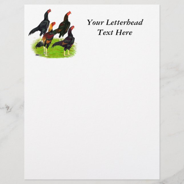 Oriental Game Fowl-kvartetten (Framsida)