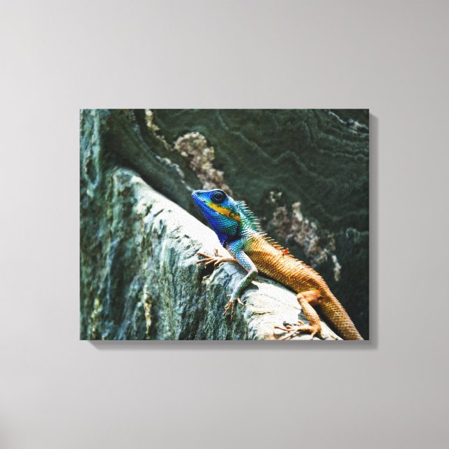 Oriental Garden Lizard - Wrapped Canvas (Framsida)