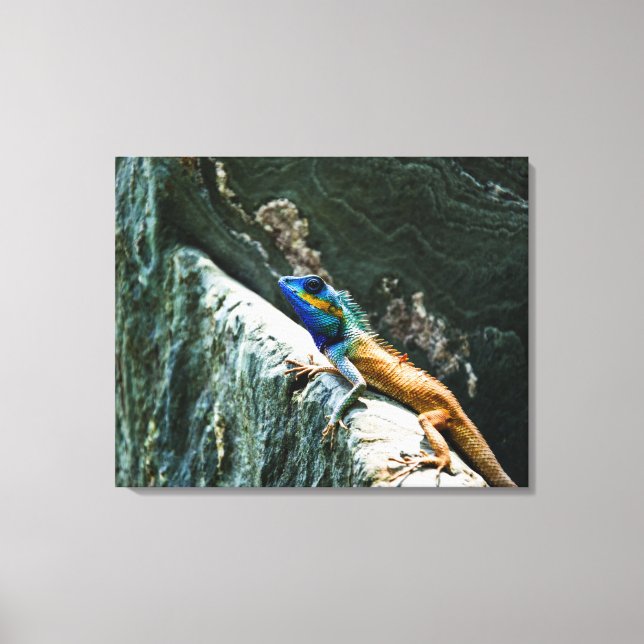 Oriental Garden Lizard - Wrapped Canvas (Framsida)