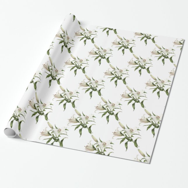 Oriental lilja - Sibirien Presentpapper (Utrullad)