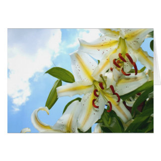 Oriental Lily Card Hälsningskort