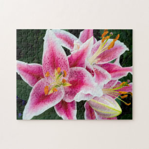 Oriental Lily Closeup i Fullt Bloom Pussel